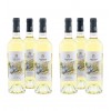 Abstracte - Pinot Grigio Igp Puglia - Confezione da 6