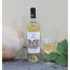 Avignon | Falanghina IGP Campania