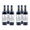 Botticella - Cabernet Igp Puglia - Confezione da 6